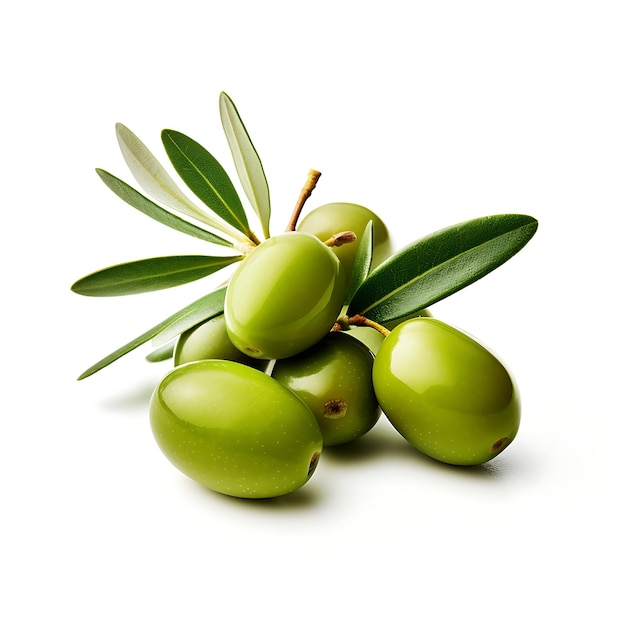 Fruit d'olive sur fond blanc