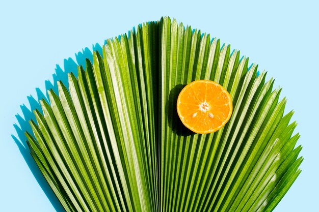 Fruit orange et feuille de palmier