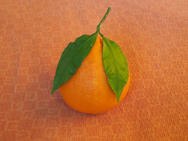 Fruit orange avec des feuilles