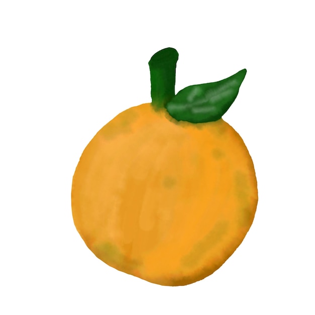Fruit d'orange frais avec feuille isolée Belle peinture à l'aquarelle Illustration vectorielle