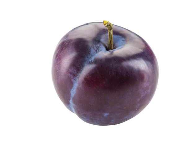 Fruit de prune violet doux à peau lisse isolé sur fond blanc avec espace de copie pour le texte ou l'image