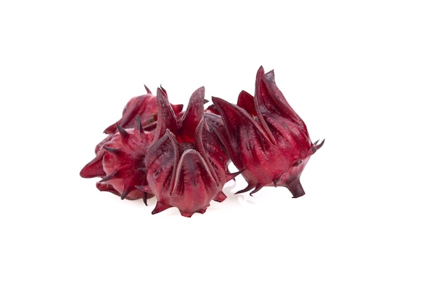 Fruit de Roselle isolé sur fond blanc