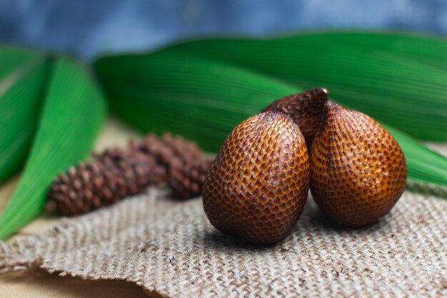 Fruit de serpent fruit tropical d'asie du sud-est