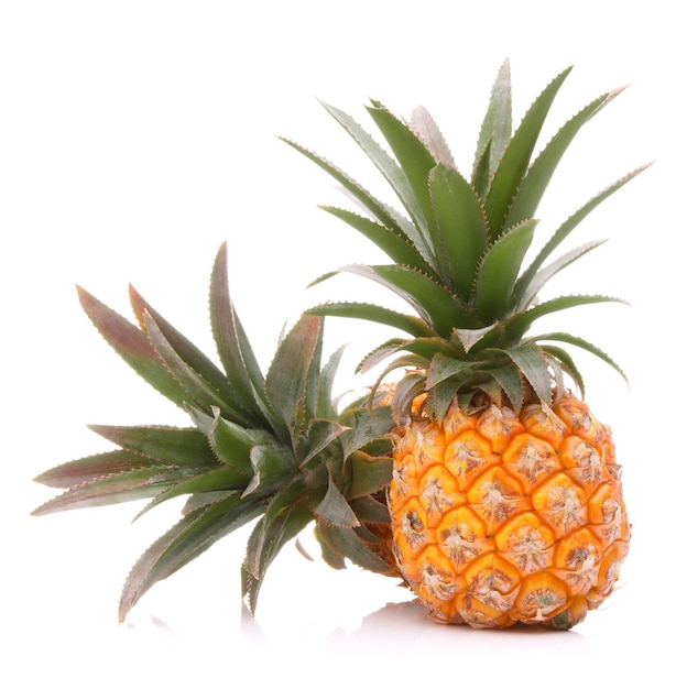 Fruit tropical d'ananas ou ananas