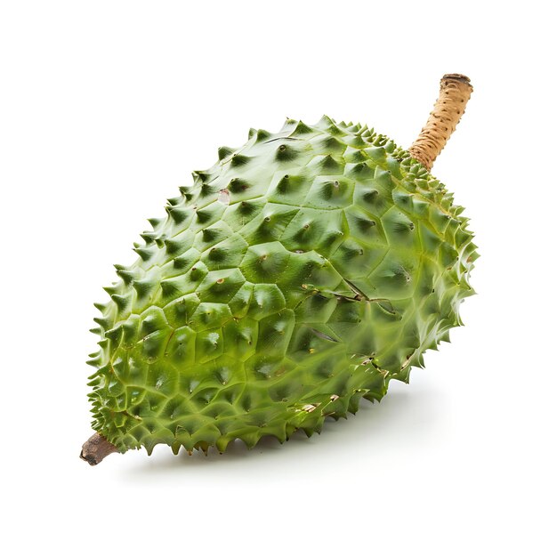 Photo un fruit vert avec le mot durian dessus