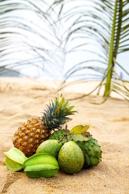 Fruit vert sous les feuilles d'un palmier