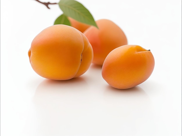 Fruits d'abricot sur fond blanc