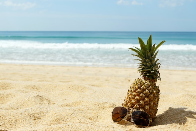 Fruits d'ananas et lunettes de soleil