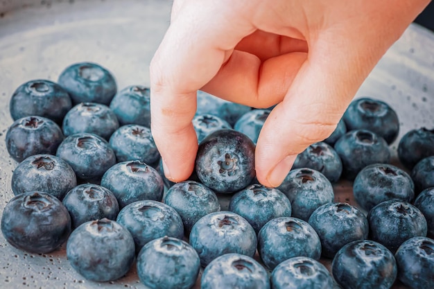 Fruits bleuets frais.