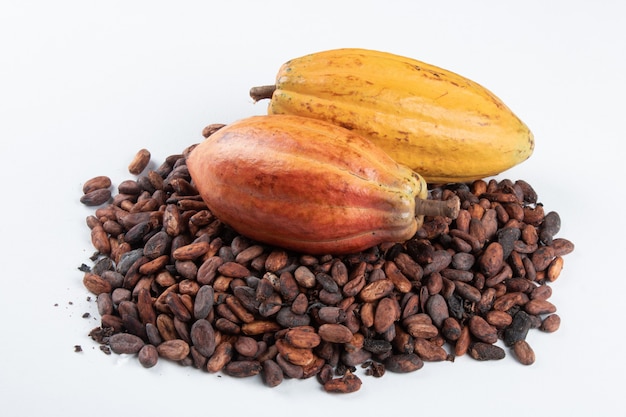 Fruits de cacao sur les fèves de cacao crues sur fond blanc.