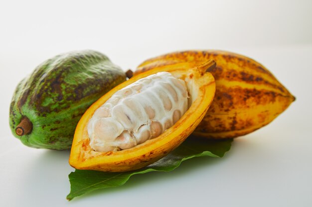 Fruits de cacao frais avec une feuille verte sur fond blanc