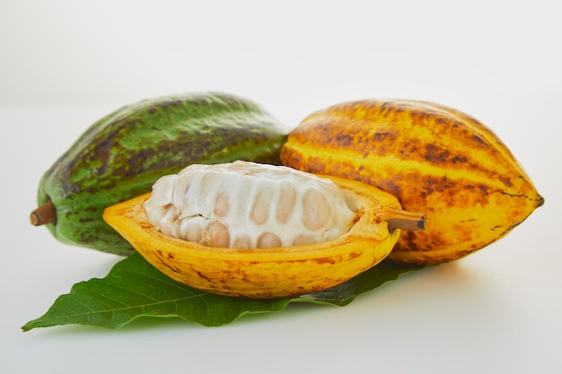 Fruits de cacao frais avec une feuille verte sur fond blanc