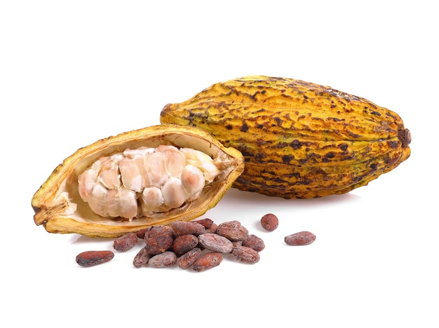 Fruits de cacao isolés sur fond blanc