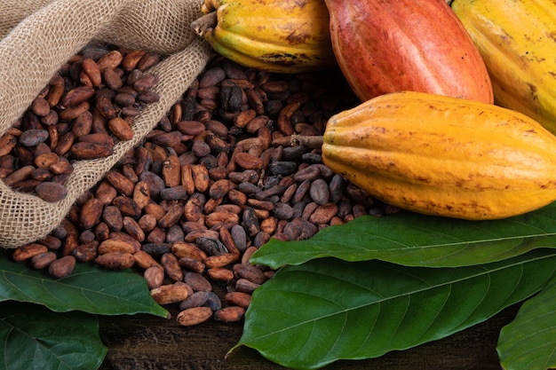 Fruits de cacao et sachet de fèves de cacao crues.