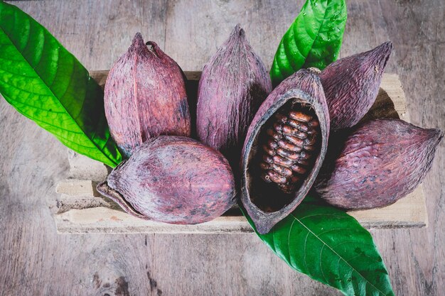 Fruits de cacao séchés sur une table en bois