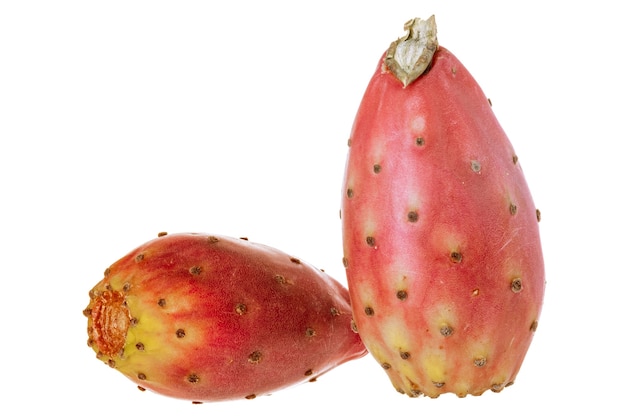 Fruits de cactus crus sur un mur blanc