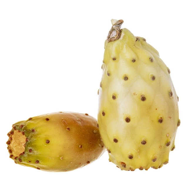 Fruits de cactus crus sur un mur blanc