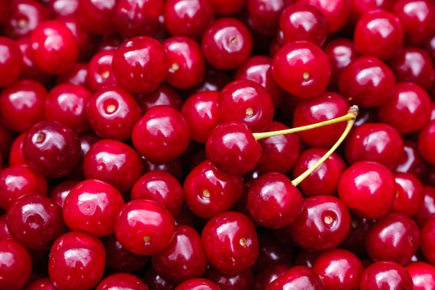 Les fruits des cerises récoltées.