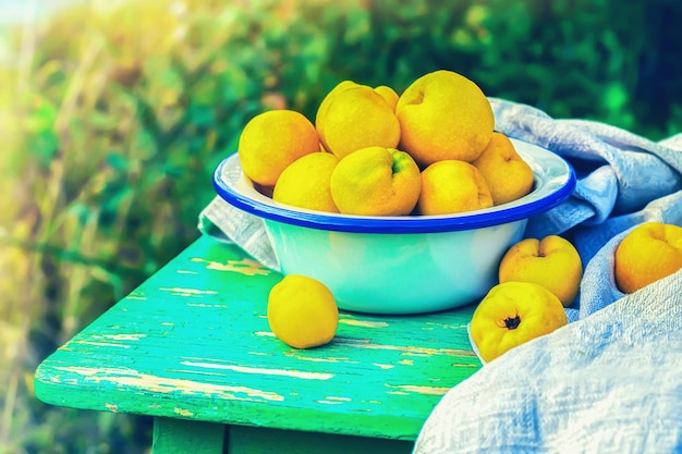 Fruits de coing dans le bol extérieur, tonique.