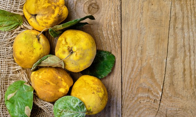 Fruits de coing mûrs frais sur une table en bois rustique. Fruits de coing bio jaune sain. Vue de dessus avec espace copie