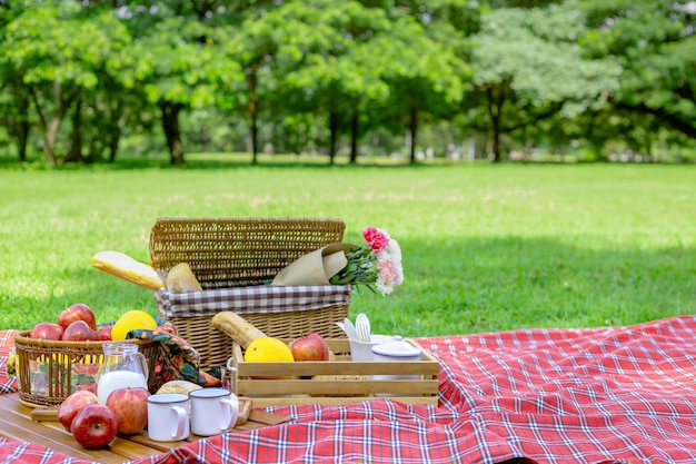 Des fruits dans un panier sur une couverture de pique-nique dans le parc