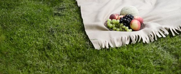 Fruits d'été frais et juteux sur l'assiette sur la couverture à l'extérieur