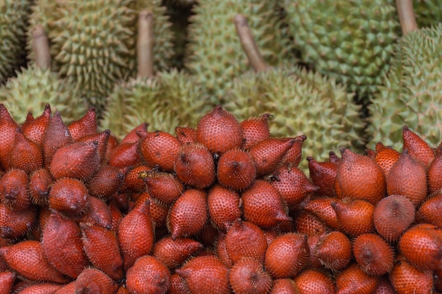 Fruits exotiques thaïlandais (Salak et Durian) sur le marché. Comme les gens charmants