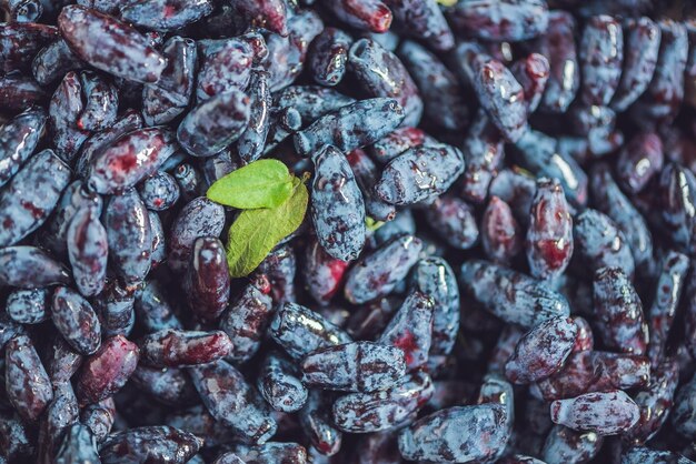 Fruits frais de baies bleues de chèvrefeuille avec la feuille sur un fond en bois.