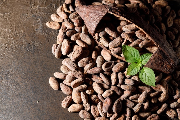 les fruits et les haricots de cacao sont sur la table avec de la menthe