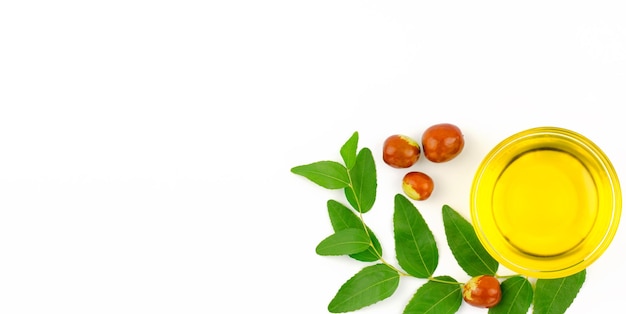 Fruits de jojoba mûrs frais et huile de jojoba dans un bol sur la bannière de fond blanc