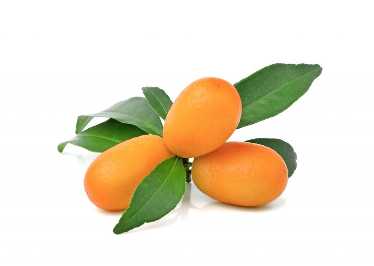 Fruits de kumquat avec feuille isolé sur mur blanc