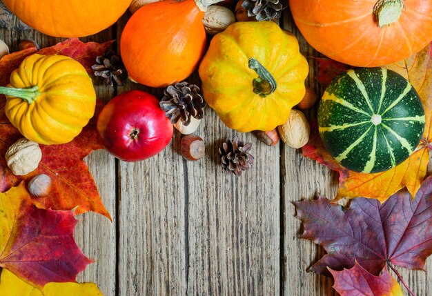 Fruits et légumes d'automne avec feuilles d'érable, noix et pommes de pin