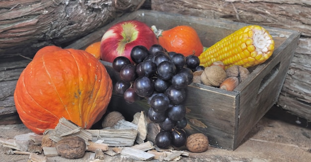 Fruits Et Légumes Dans Une Boîte Sur Fond En Bois