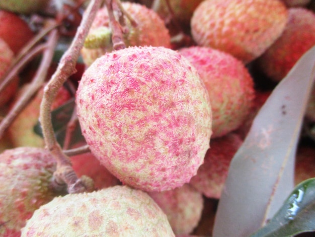 Fruits et légumes frais