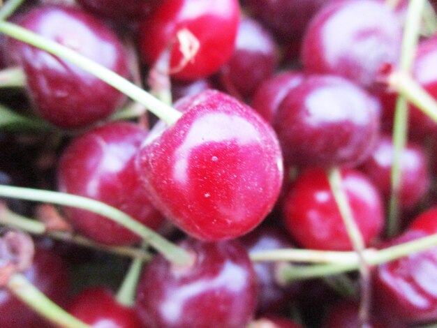 Photo fruits et légumes frais