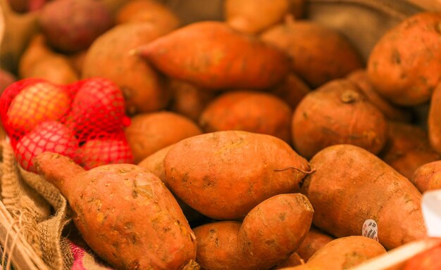 Les fruits et légumes symbolisent la croissance et la diversité de la nutrition Les pommes de terre, les tomates, les oignons et les pommes de mer.