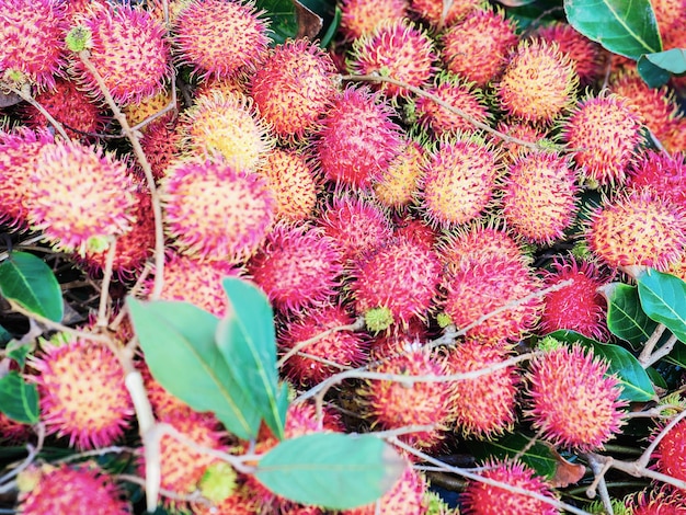 Fruits de litchi exposés dans le marché de rue de la vieille ville de Hoi An, Vietnam