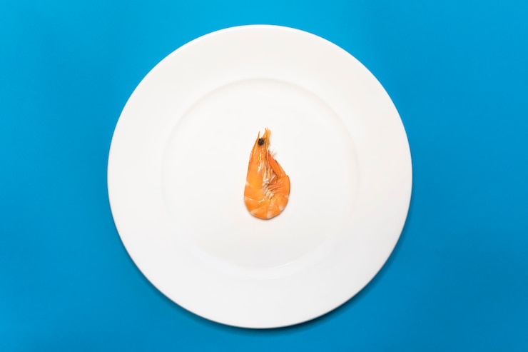 Photo fruits de mer, une crevette solitaire, crevette rouge bouillie sur une plaque blanche. le minimalisme. nutrition diététique, réduction des calories, régime pour perdre du poids. vue de dessus. régime protéiné sans glucides