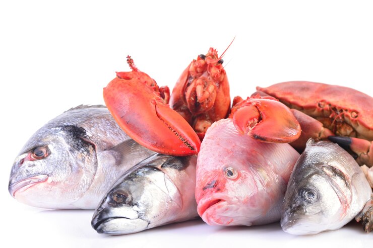 Fruits de mer sur fond blanc