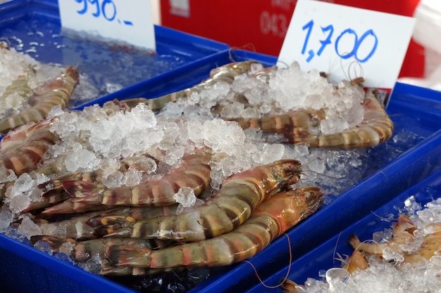 Photo fruits de mer frais au marché