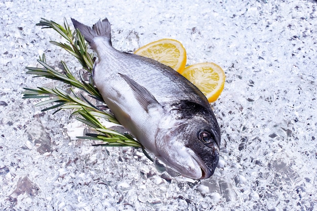 Fruits de mer frais dorado sur glace - Image