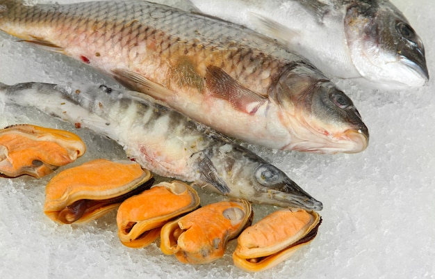 Fruits de mer frais sur glace