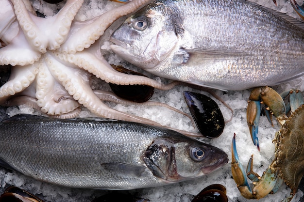 Fruits de mer sur glace au marché aux poissons. Dorado, crabe bleu, seiche, moules et bar sur glace