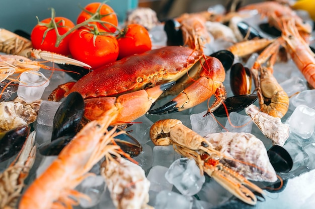 Fruits De Mer Sur Glace. Crabes, Esturgeons, Crustacés, Crevettes, Rapana, Dorado, Sur Glace Blanche.