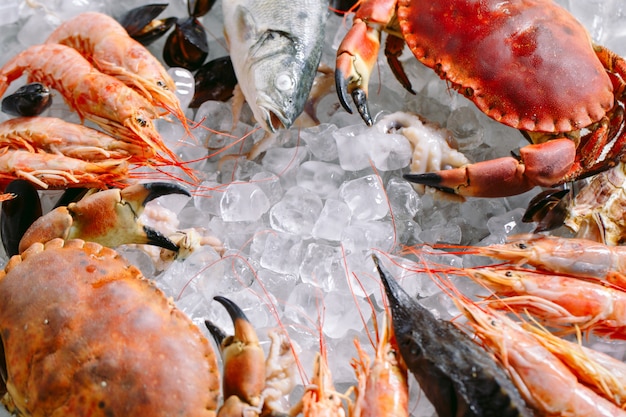 Fruits de mer sur glace, crabes, esturgeons, crustacés, crevettes, rapana, dorado, sur glace blanche.