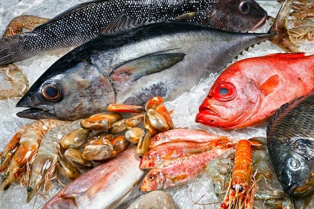 Fruits de mer homard crevettes poisson calmar poissonnier