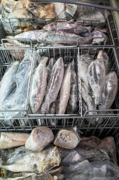 Fruits de mer et poisson surgelés au réfrigérateur au marché aux poissons concept d'alimentation saine et de marché aux poissons