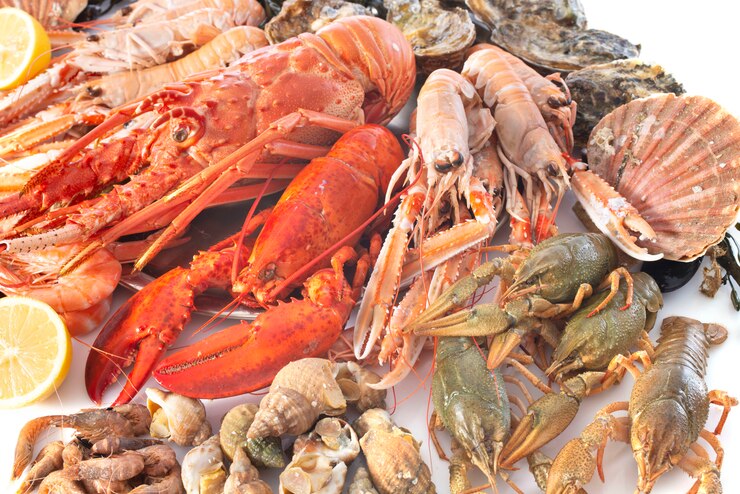 Photo fruits de mer en studio
