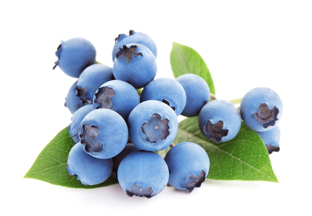 Fruits mûrs de bleuets