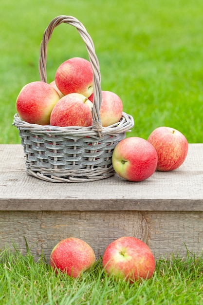 Fruits mûrs de pomme de jardin